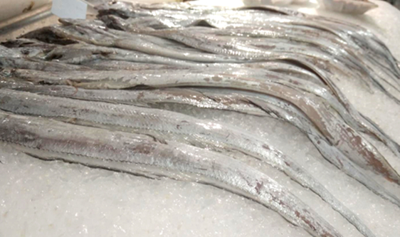 国家市场监管总局决定开展“长江禁捕 打非断链”专项行动